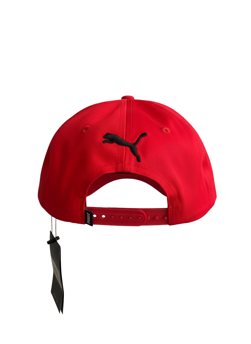 Gorra Red Bull Racing F1